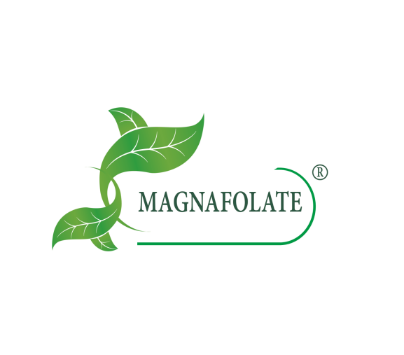 Magnafolate® என்றால் என்ன? ஃபோலேட் VS ஃபோலிக் அமிலம், வித்தியாசம் என்ன?