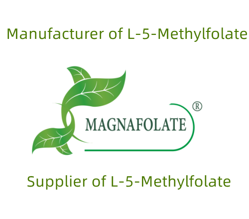 உடலுக்கு L-Methylfolate இன் முக்கியத்துவம்