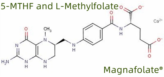 5-MTHF மற்றும் L-Methylfolate