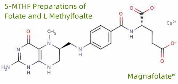 ஃபோலேட் மற்றும் எல் மெத்தில்ஃபோல்ட்டின் 5-MTHF தயாரிப்புகள்