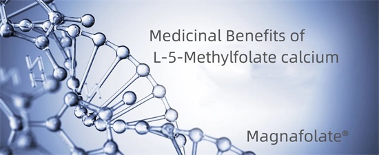 L-5-Methylfolate கால்சியத்தின் மருத்துவப் பயன்கள்