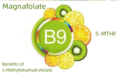 5 Methyltetrahydrofolate இன் நன்மைகள்
