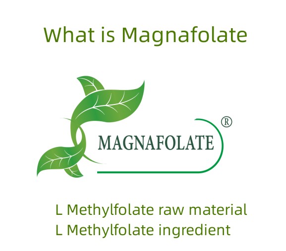 மேக்னாஃபோலேட் என்றால் என்ன?