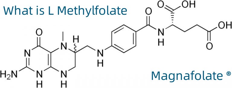 L-5-Methyltetrahydrofolate கால்சியம் CAS எண்:151533-22-1