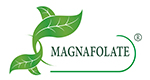 Magnafolate® VS ஃபோலிக் அமிலம்